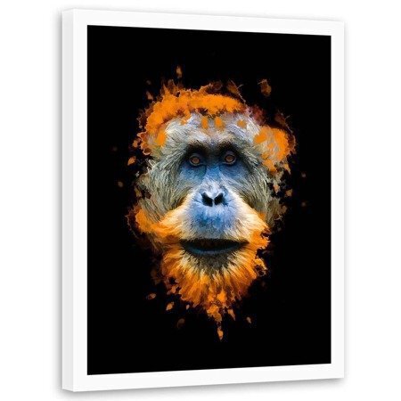Plakat ozdobny w ramie, Orangutan